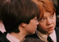 The Weasley duo 