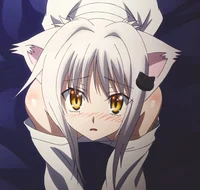 Koneko Toujou