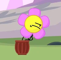 Potted Flower BFB