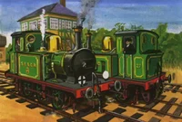 Bluebell and Pimrose