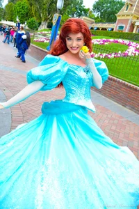 WDW ariel
