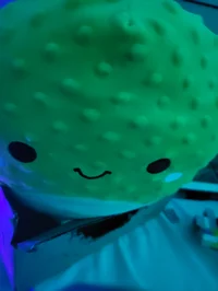 Talking squishmallow