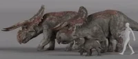 Nasutoceratops
