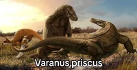 Varanus priscus