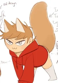 Tord cat