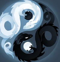 Ying Yang Dragons