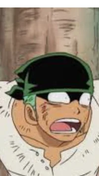 Zoro
