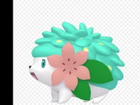 Shiny shaymin