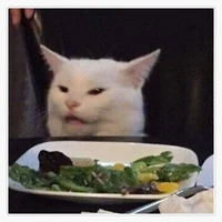 Salad cat 