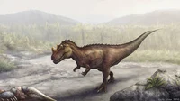 Female ceratosaurus