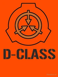 D-CLASS
