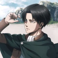 Levi