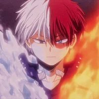 Shoto Todoroki 