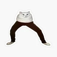 Cat Pants