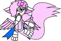 Curious Shelly Kitty