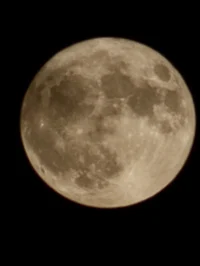 Felicerubinoonlyfely