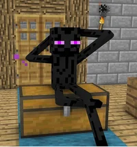 MS Enderman