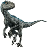 Velociraptor