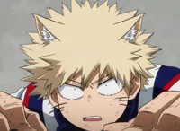 Katsuki Bakugou -cat