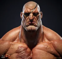 Sagat The Tiger