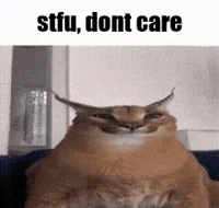 The Floppa dont care