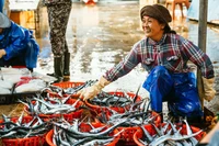 Seafood seller
