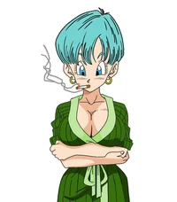 Bulma Briefs 