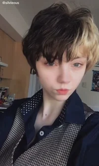 Silvieous