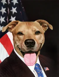 World Dog Presidents