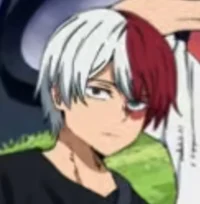 Shoto Todoroki