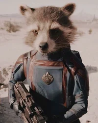 Rocket raccon 