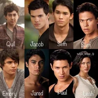 Wolf pack twilight