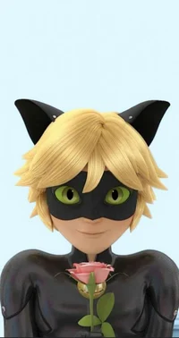 Cat noir