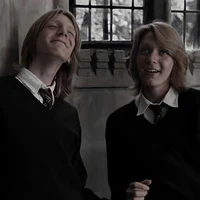 Weasley Twins 