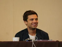sebastian stan