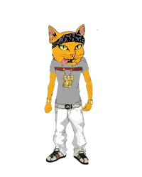 Gangsta cat 