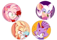 Sonic Gals