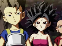 Saiyans universo 6