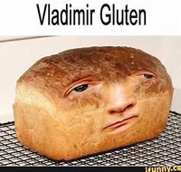 vladimir glutein