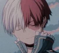 Shoto Todoroki 