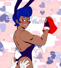 Wally Playboy 