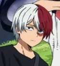Shoto Todoroki