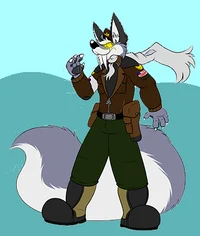 shindenwolf