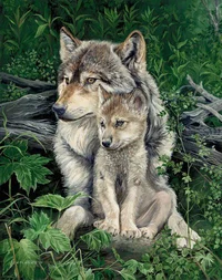 Mother Wolf