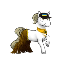 Ukraine pony 