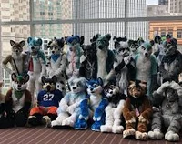 Furry House Party