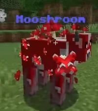 Mooshroom