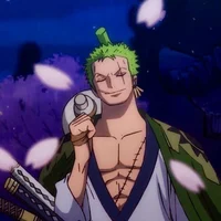 Zoro - Brasil