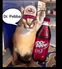 The Soda Cats