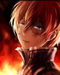 Shoto Todoroki 